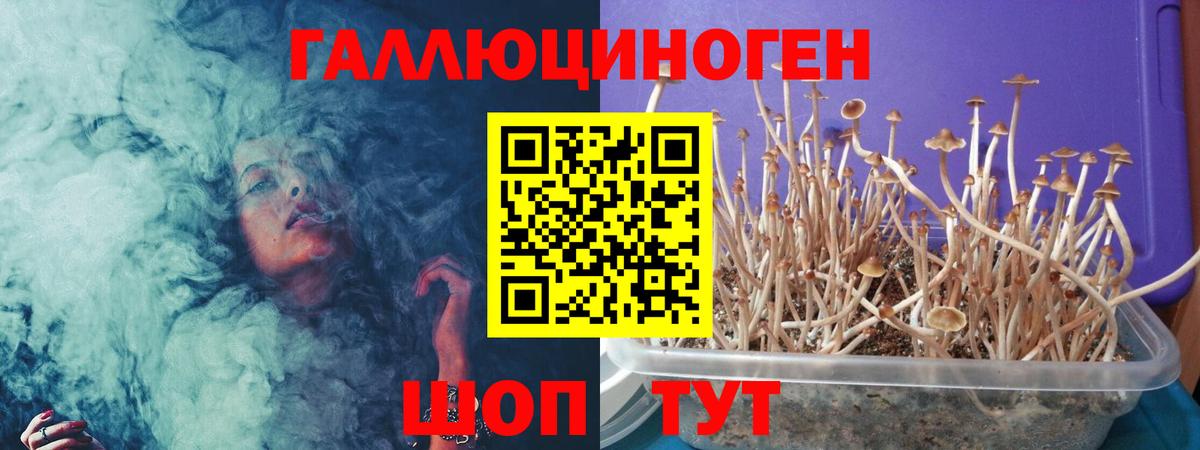 Псилоцибиновые грибы GOLDEN TEACHER Белорецк